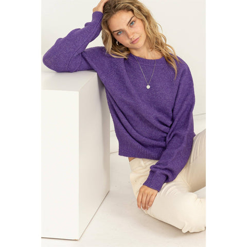 Wisteria Raglan Long Sleeve Sweater