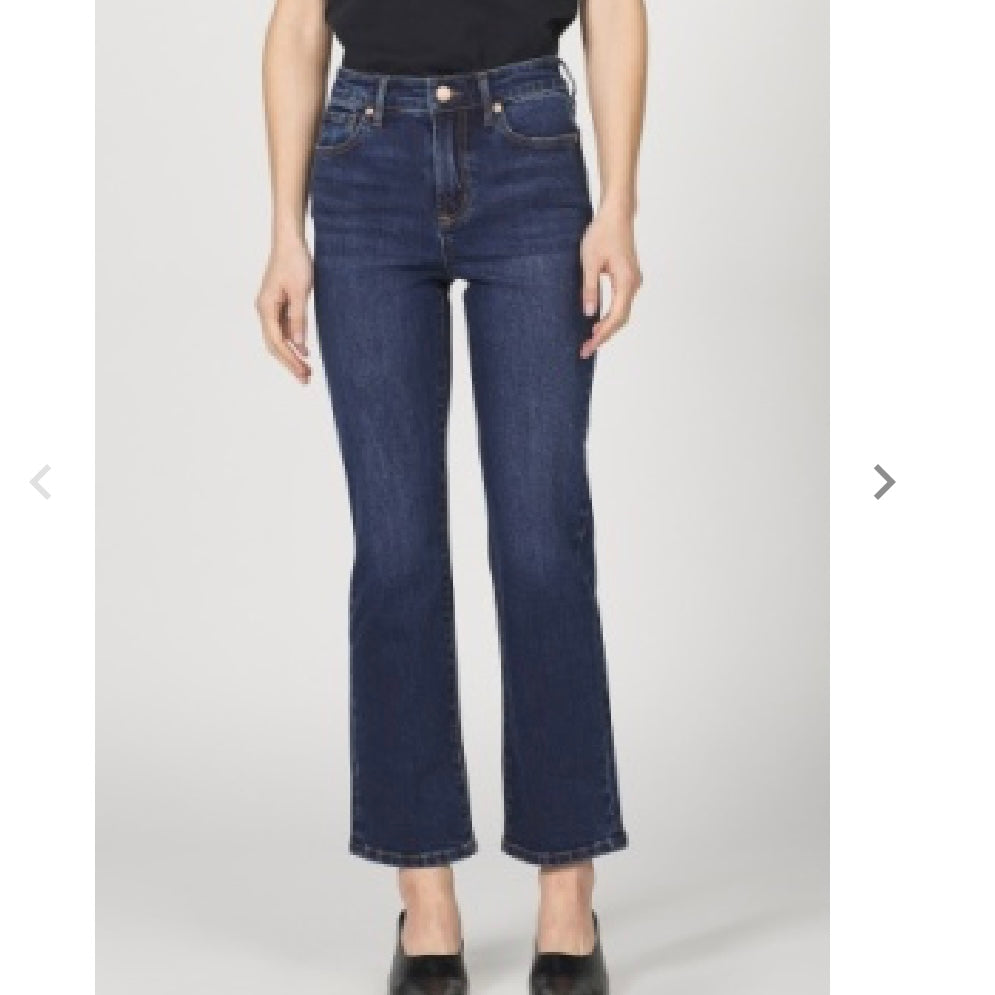 Anika Moonlight Denim