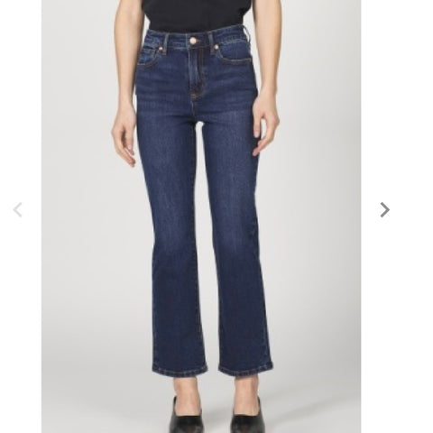 Anika Moonlight Denim